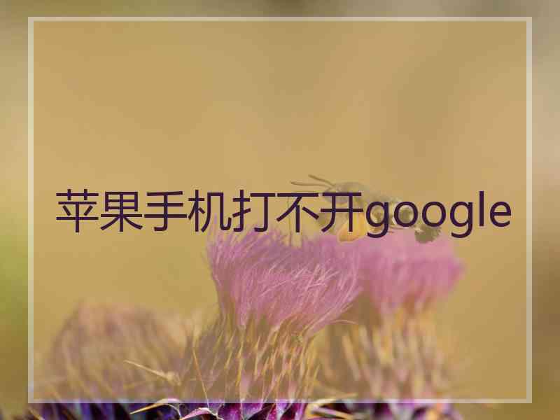 苹果手机打不开google