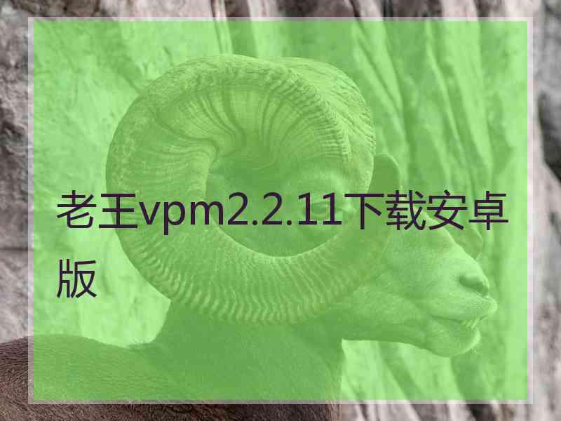 老王vpm2.2.11下载安卓版