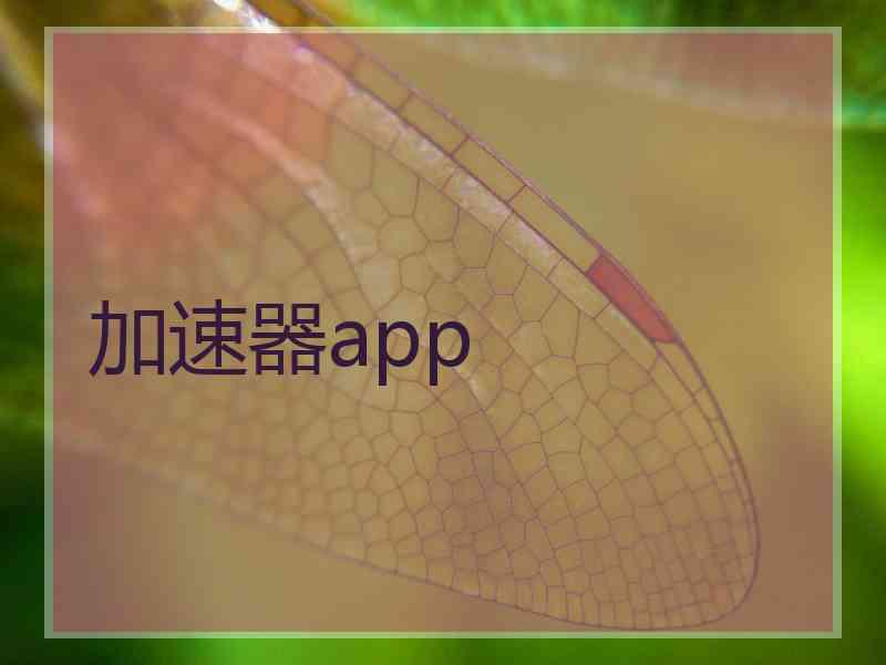 加速器app