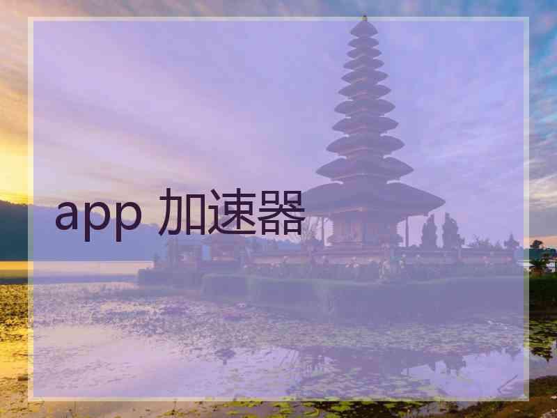 app 加速器