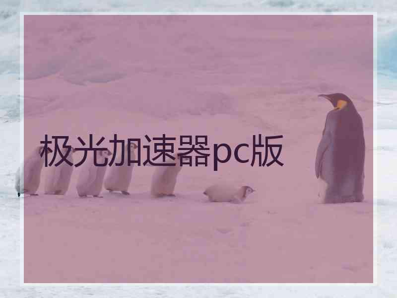 极光加速器pc版