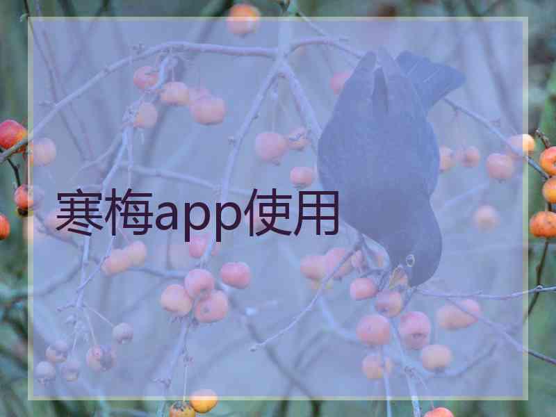 寒梅app使用