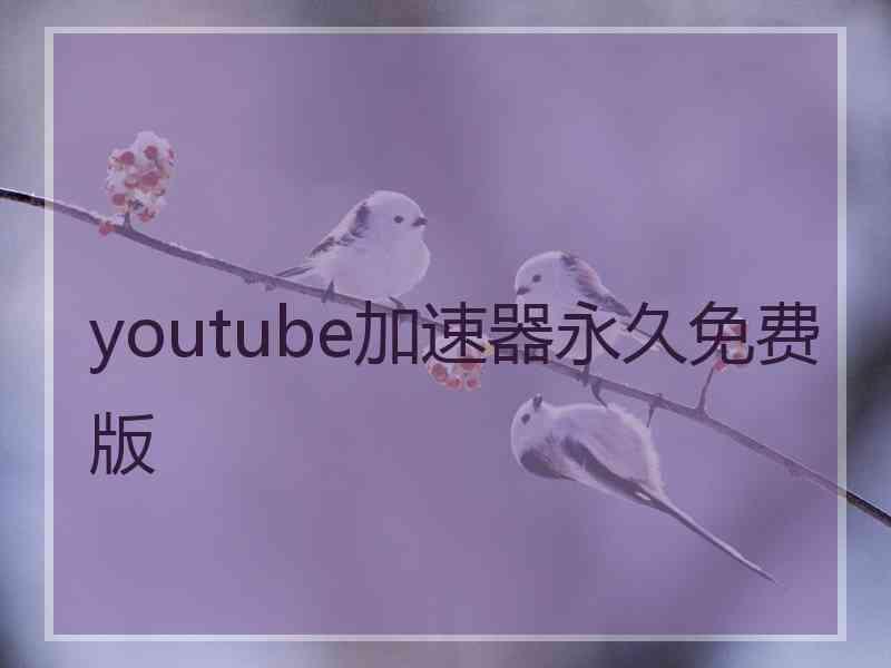 youtube加速器永久免费版