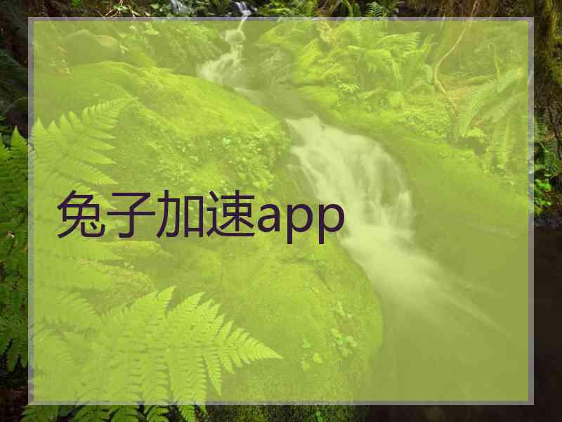 兔子加速app