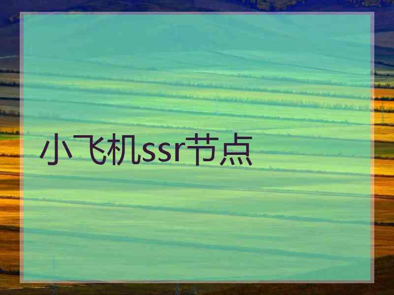 小飞机ssr节点