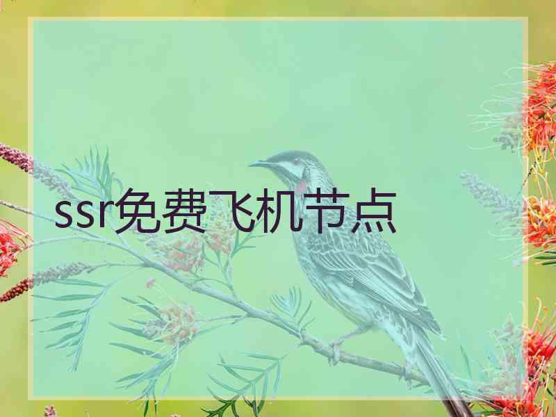 ssr免费飞机节点