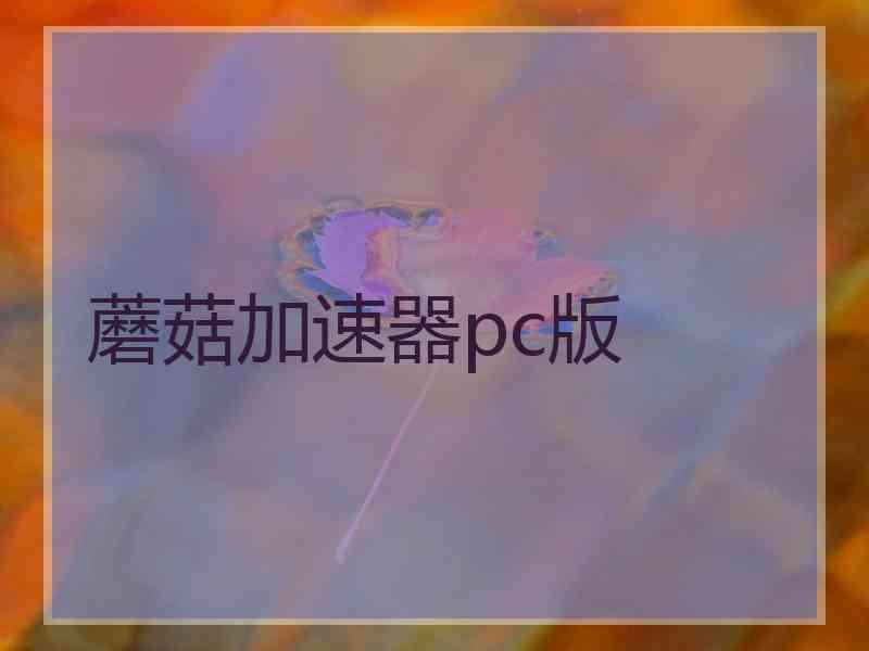 蘑菇加速器pc版