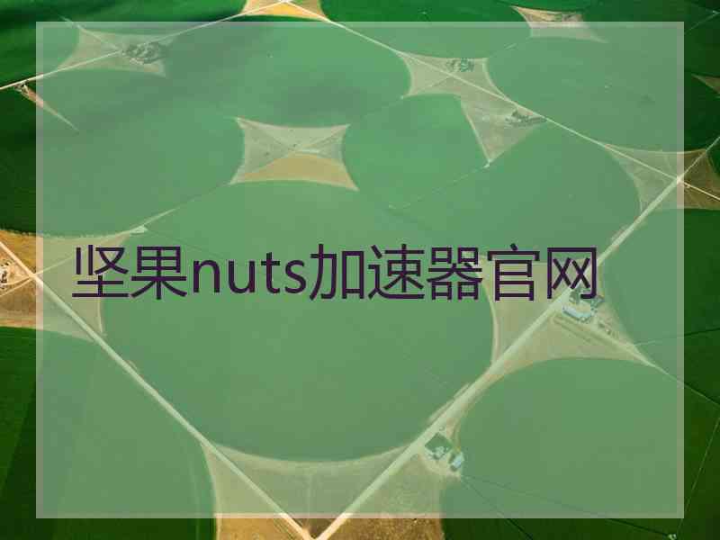 坚果nuts加速器官网