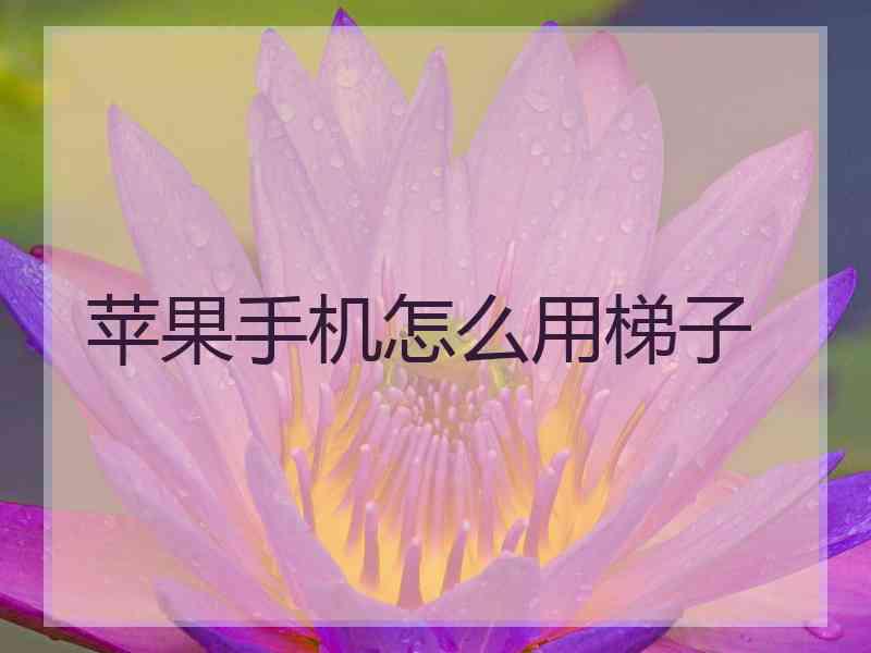 苹果手机怎么用梯子