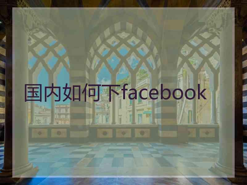 国内如何下facebook