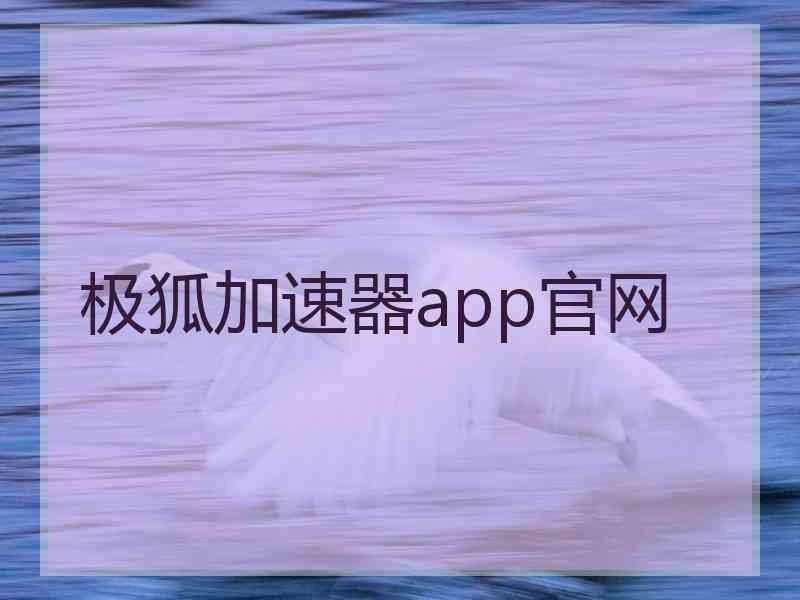 极狐加速器app官网