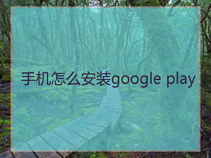 手机怎么安装google play