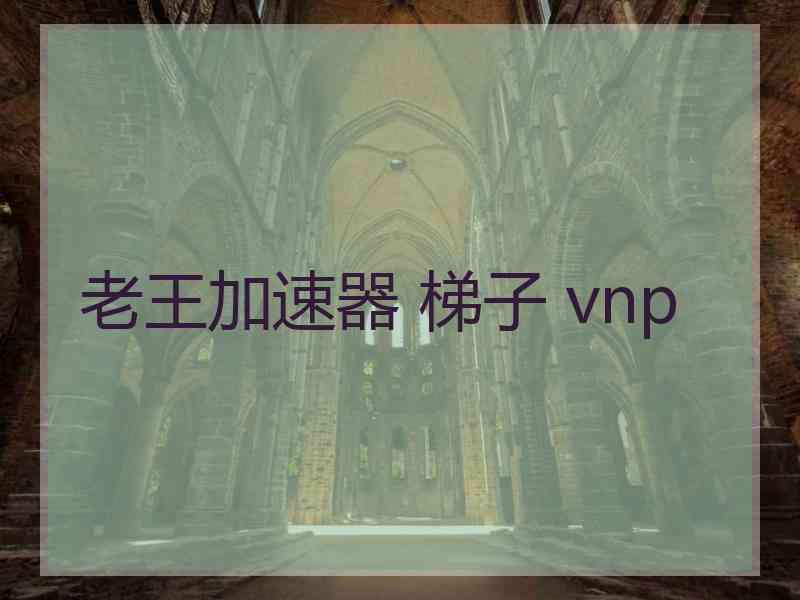 老王加速器 梯子 vnp