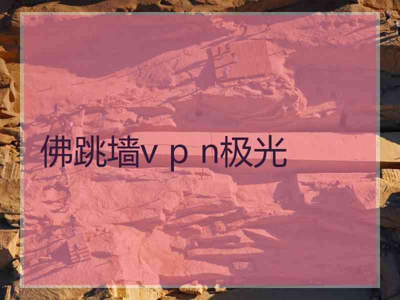 佛跳墙v p n极光