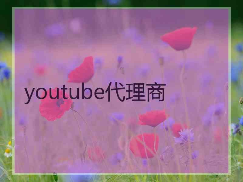 youtube代理商