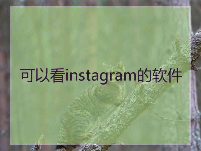 可以看instagram的软件