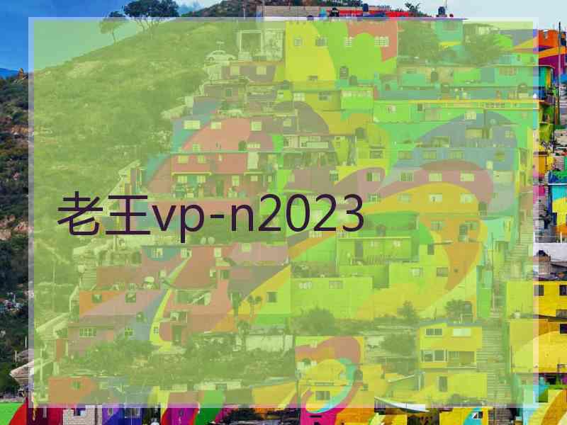 老王vp-n2023