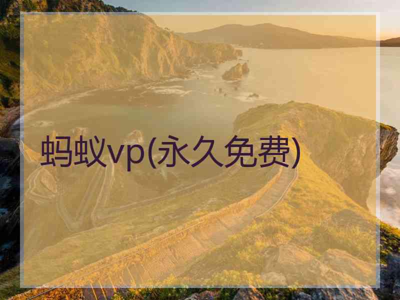 蚂蚁vp(永久免费)