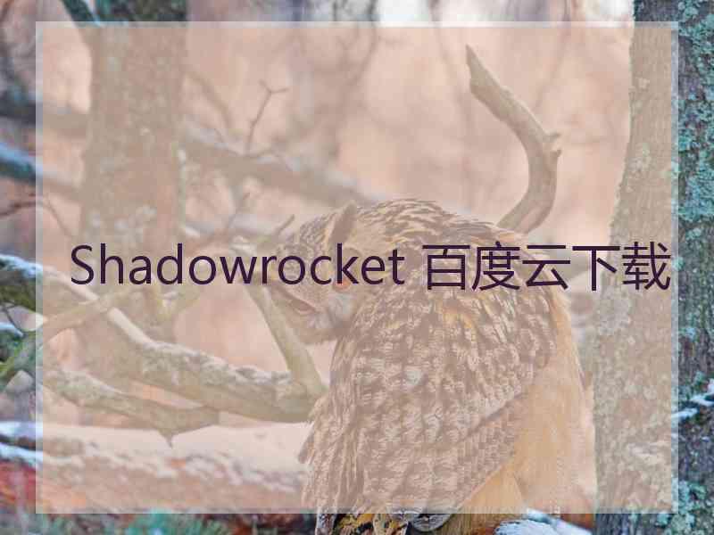 Shadowrocket 百度云下载