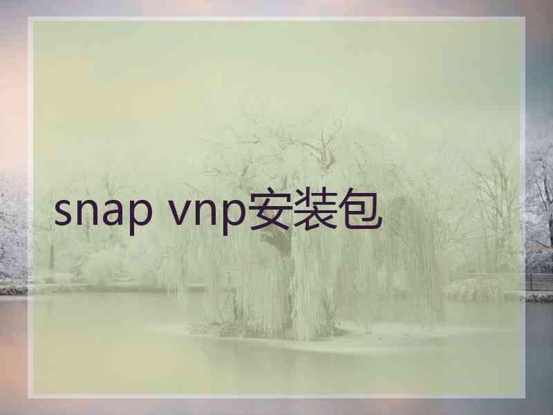 snap vnp安装包