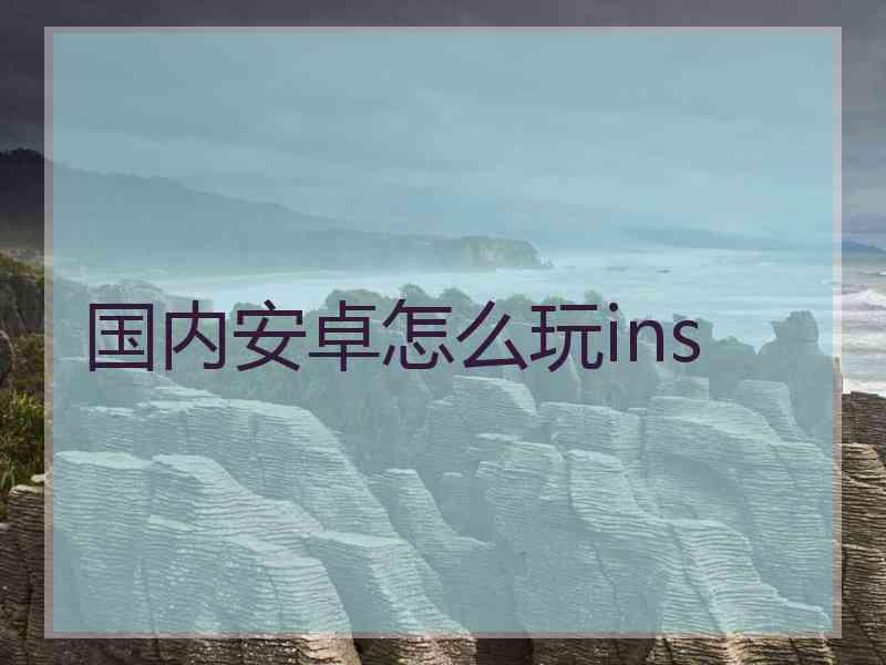 国内安卓怎么玩ins