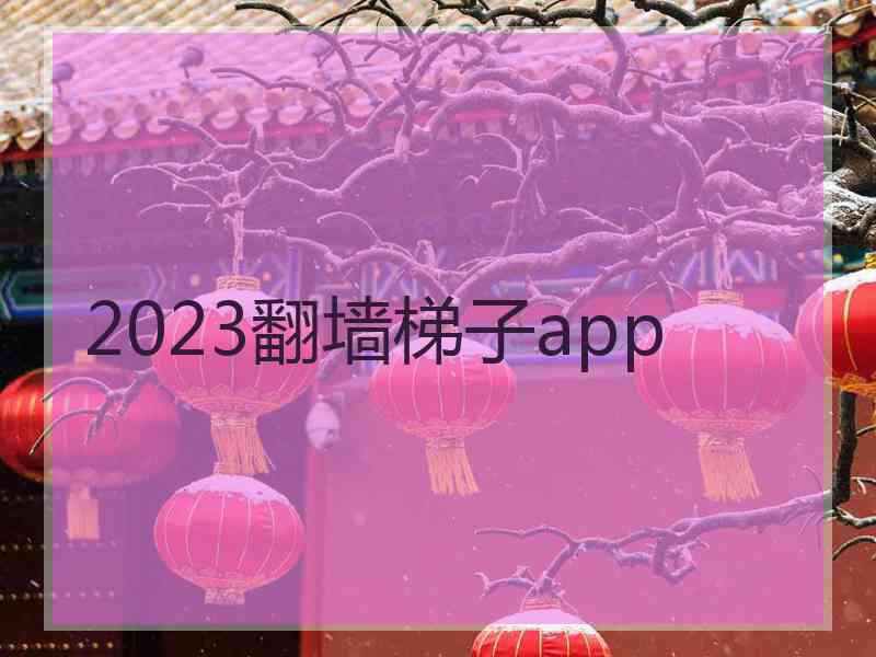 2023翻墙梯子app