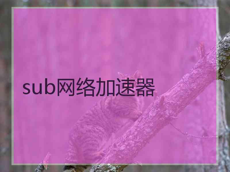 sub网络加速器