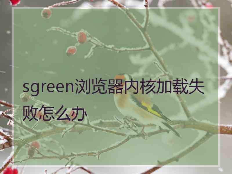 sgreen浏览器内核加载失败怎么办