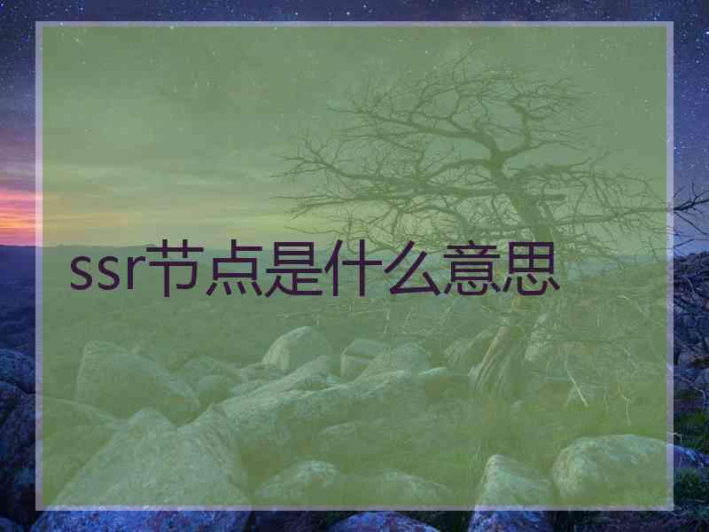 ssr节点是什么意思