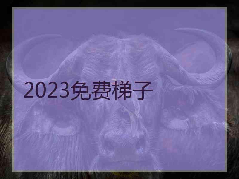 2023免费梯子