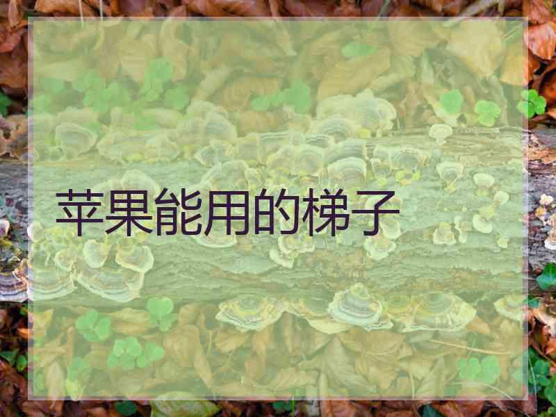 苹果能用的梯子