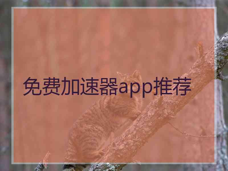 免费加速器app推荐