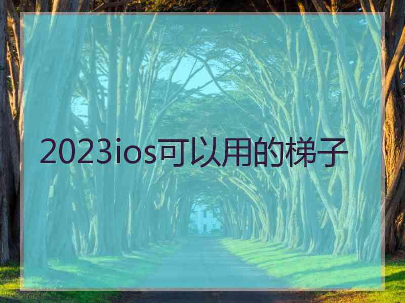 2023ios可以用的梯子