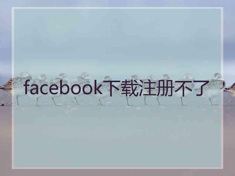 facebook下载注册不了