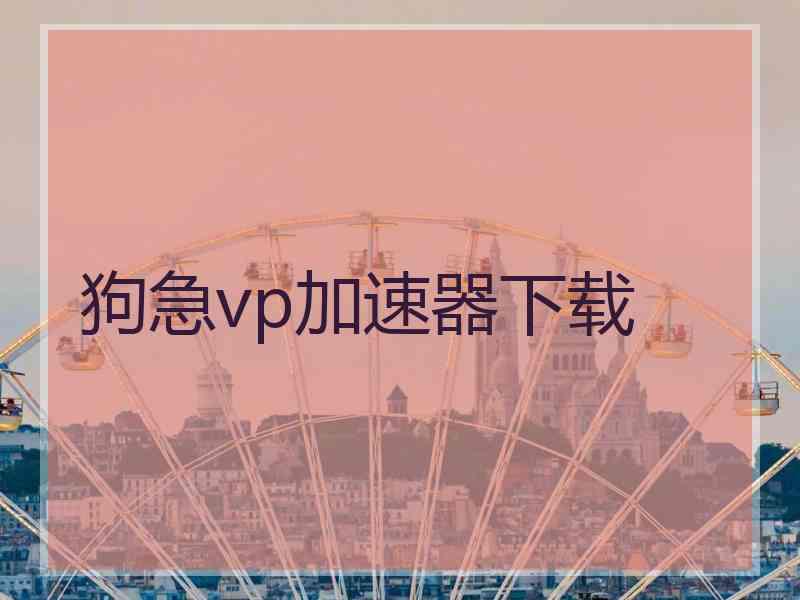 狗急vp加速器下载