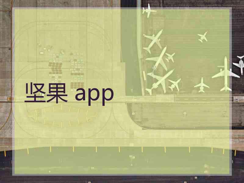 坚果 app