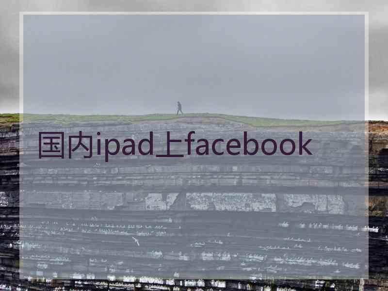 国内ipad上facebook