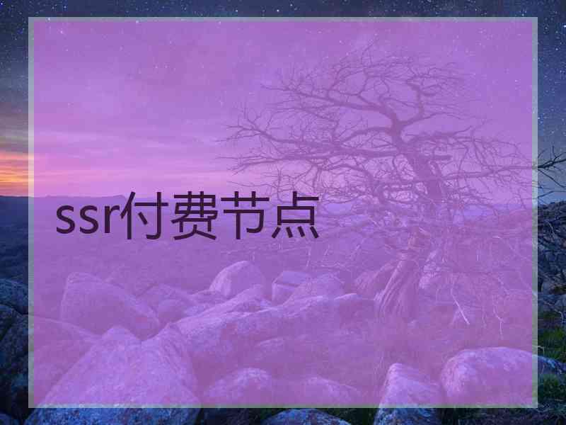 ssr付费节点