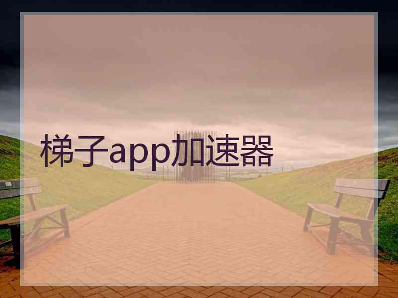 梯子app加速器