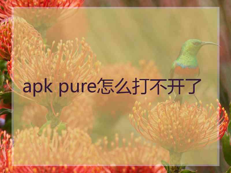 apk pure怎么打不开了