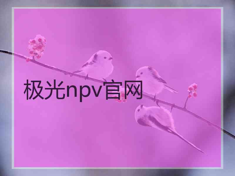 极光npv官网