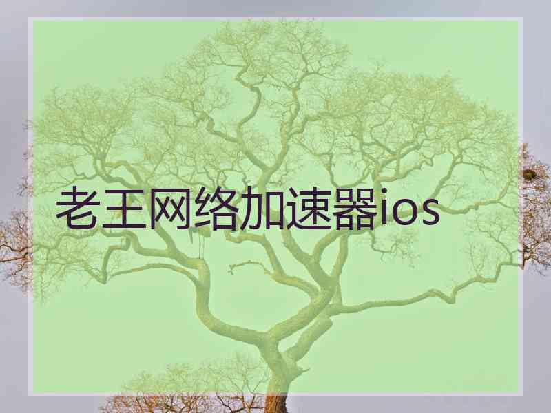 老王网络加速器ios