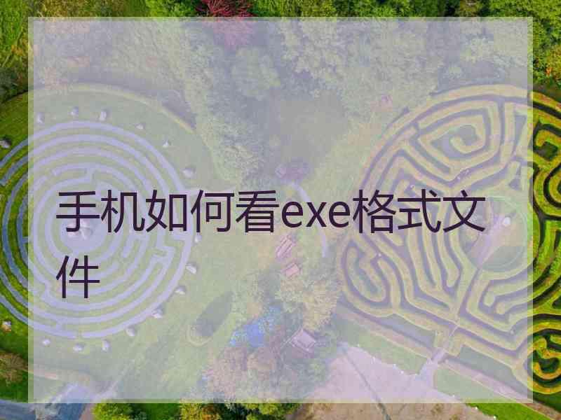 手机如何看exe格式文件