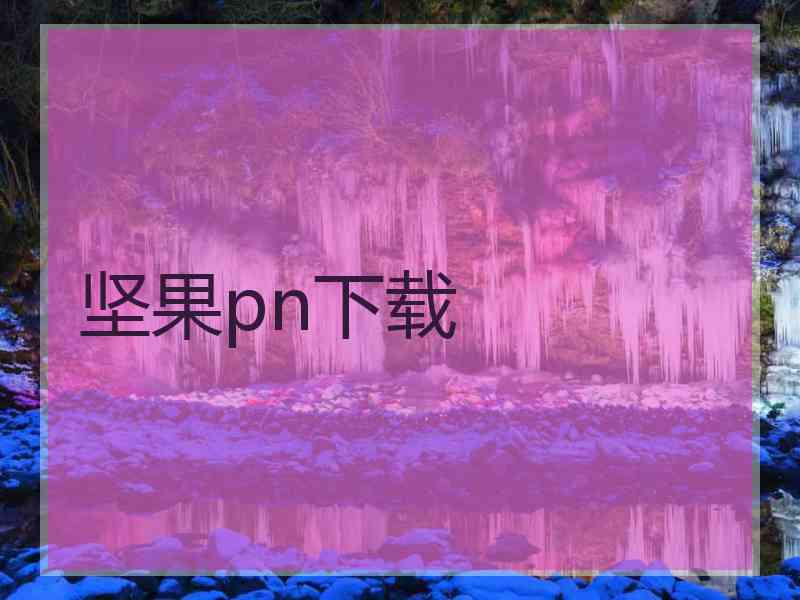 坚果pn下载