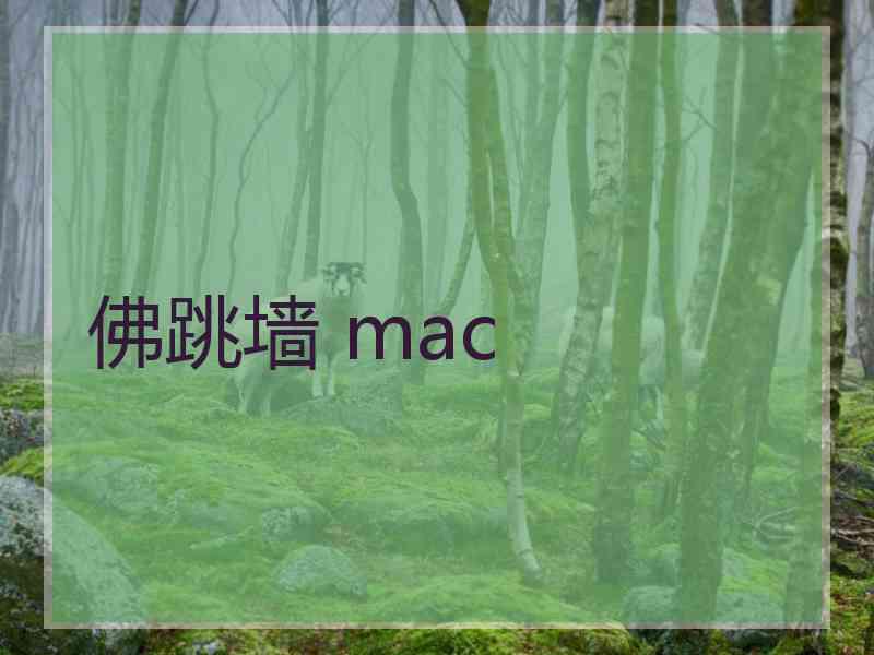 佛跳墙 mac