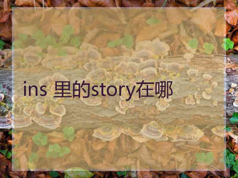 ins 里的story在哪