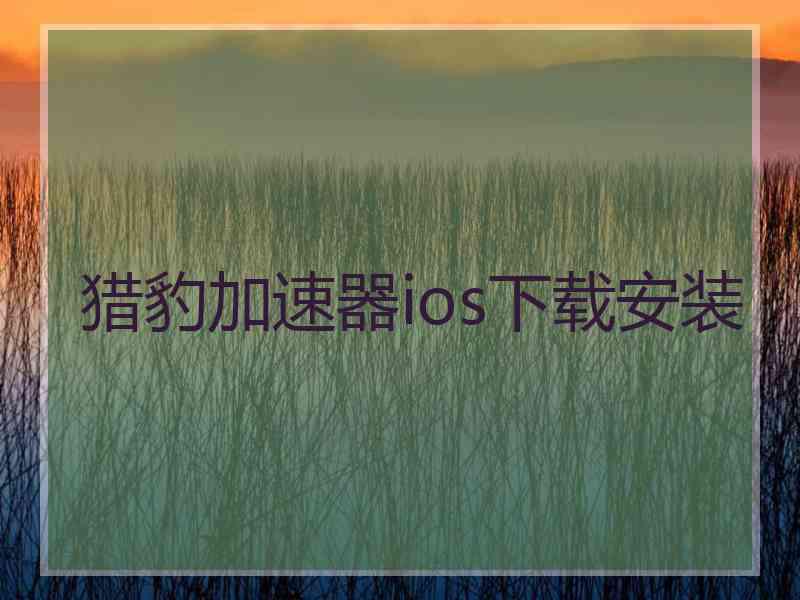 猎豹加速器ios下载安装