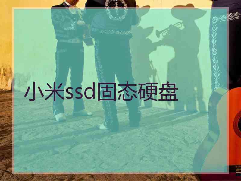 小米ssd固态硬盘