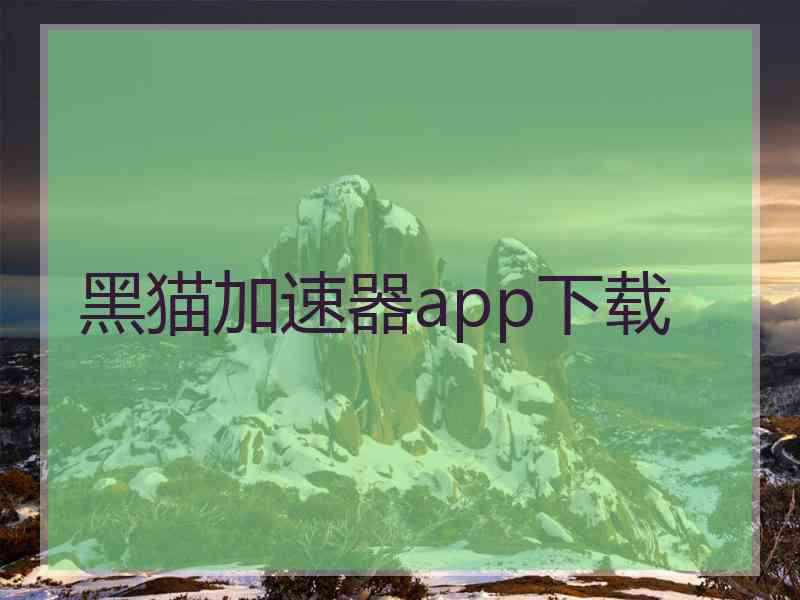 黑猫加速器app下载