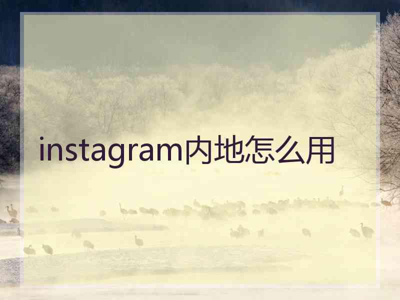 instagram内地怎么用